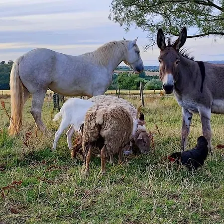 Chez Line & Mon Bournonville