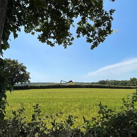 Chez Line & Mon Nyaraló *